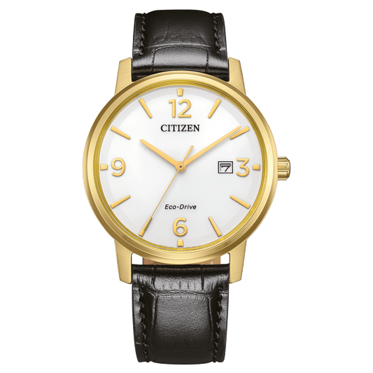Citizen Herren Eco Drive BM6756-01A