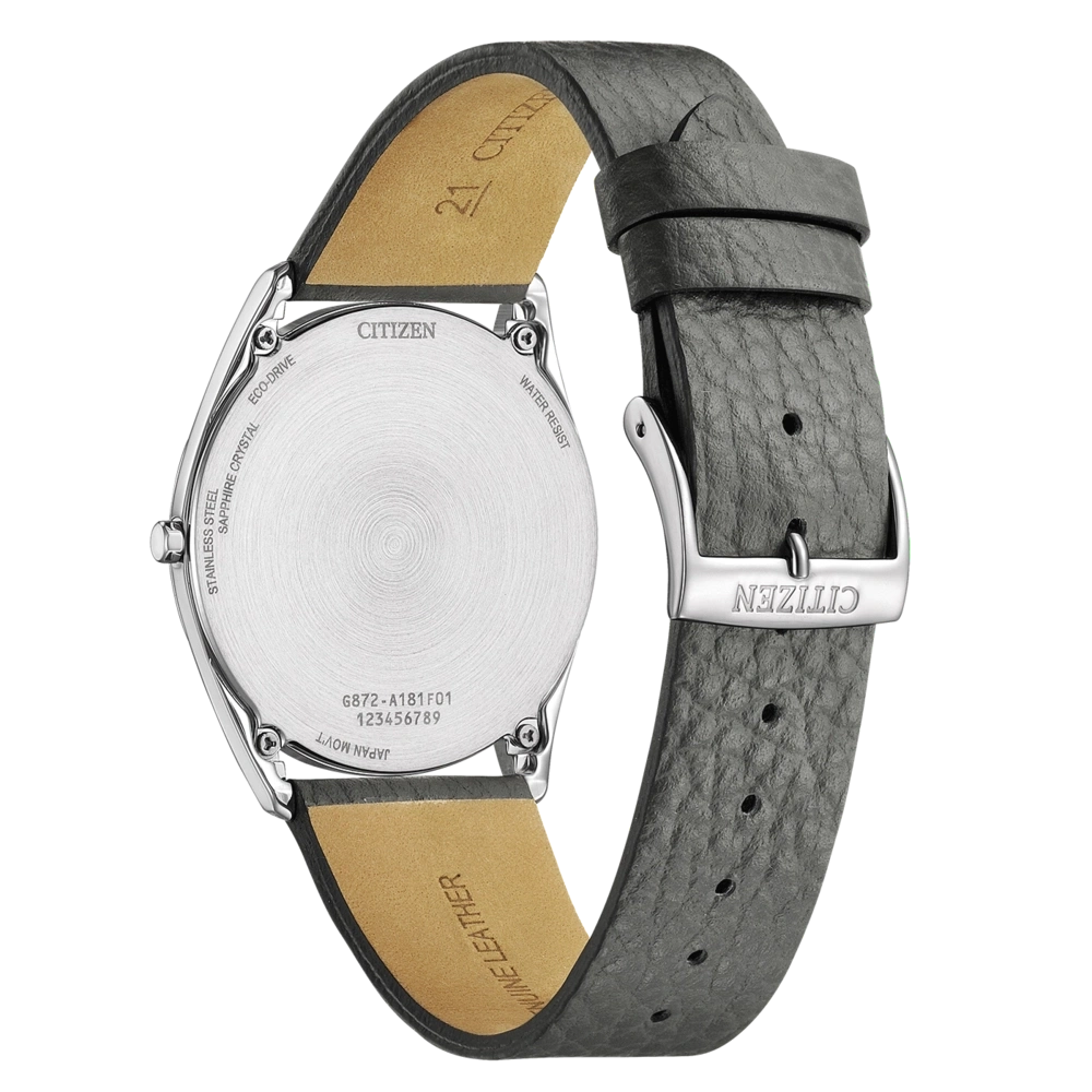 Citizen Eco Drive Suratto AR3120-24L