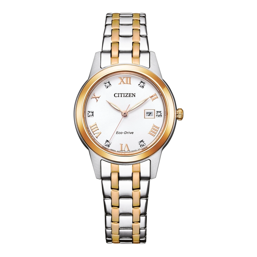Citizen Eco Drive FE1246-85A